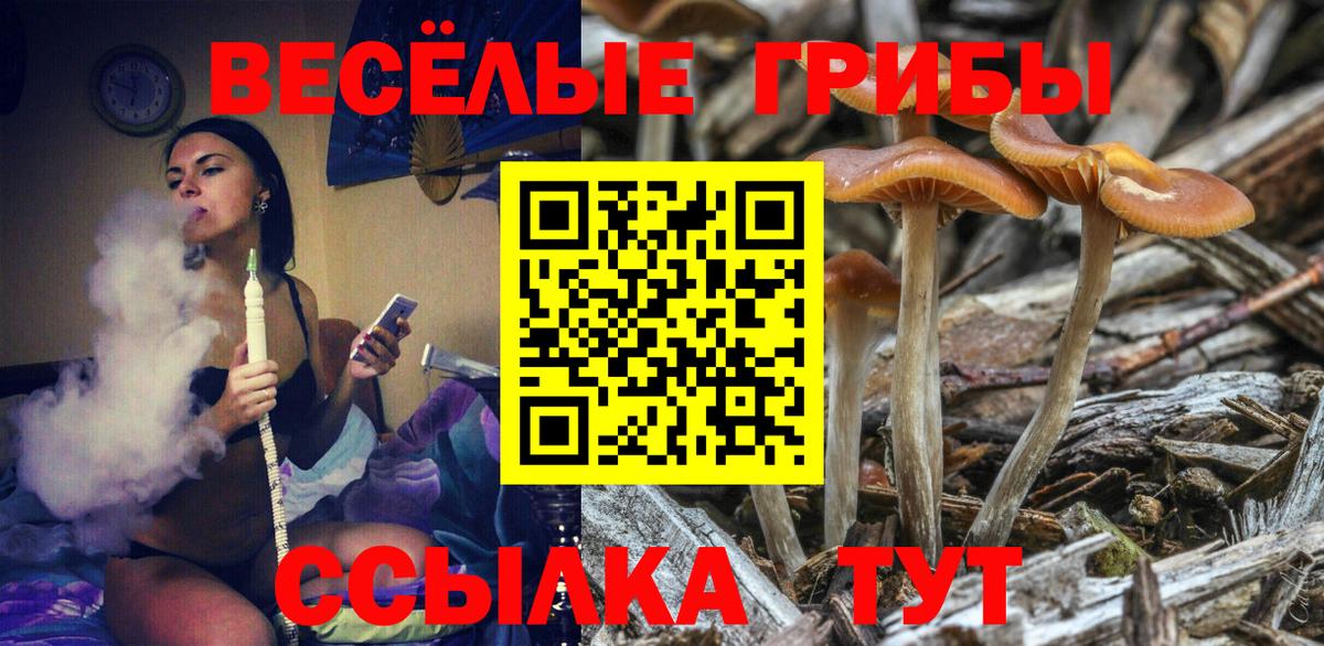 Ревда  Галлюциногенные грибы Magic Shrooms  Вход с VPN  Псилоцибиновые грибы Psilocybine cubensis 